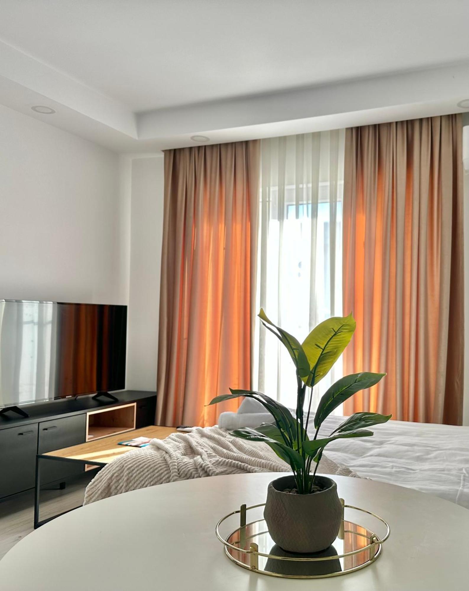 Single Room A503 Stayinn By Cosmopolis Stefanestii de Jos Buitenkant foto